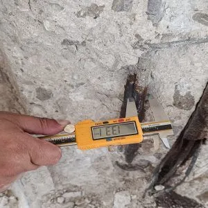 Patología